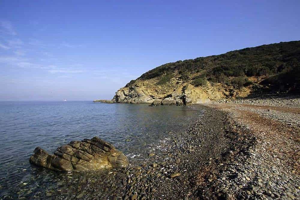 locanda degli alberi attivita piombino